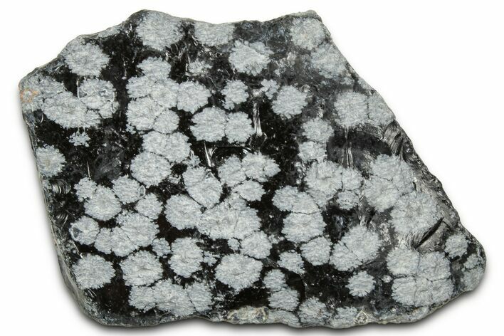 Snowflake Obsidian Section - Utah #327135